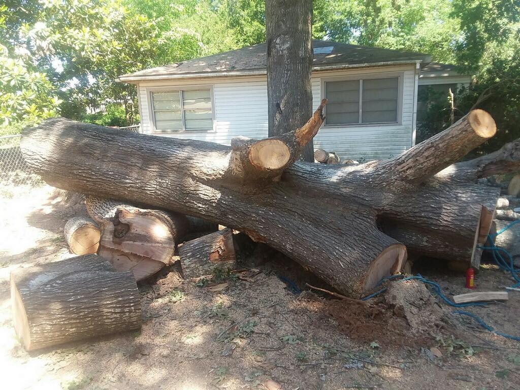 Elkhart Texas Lawn Services