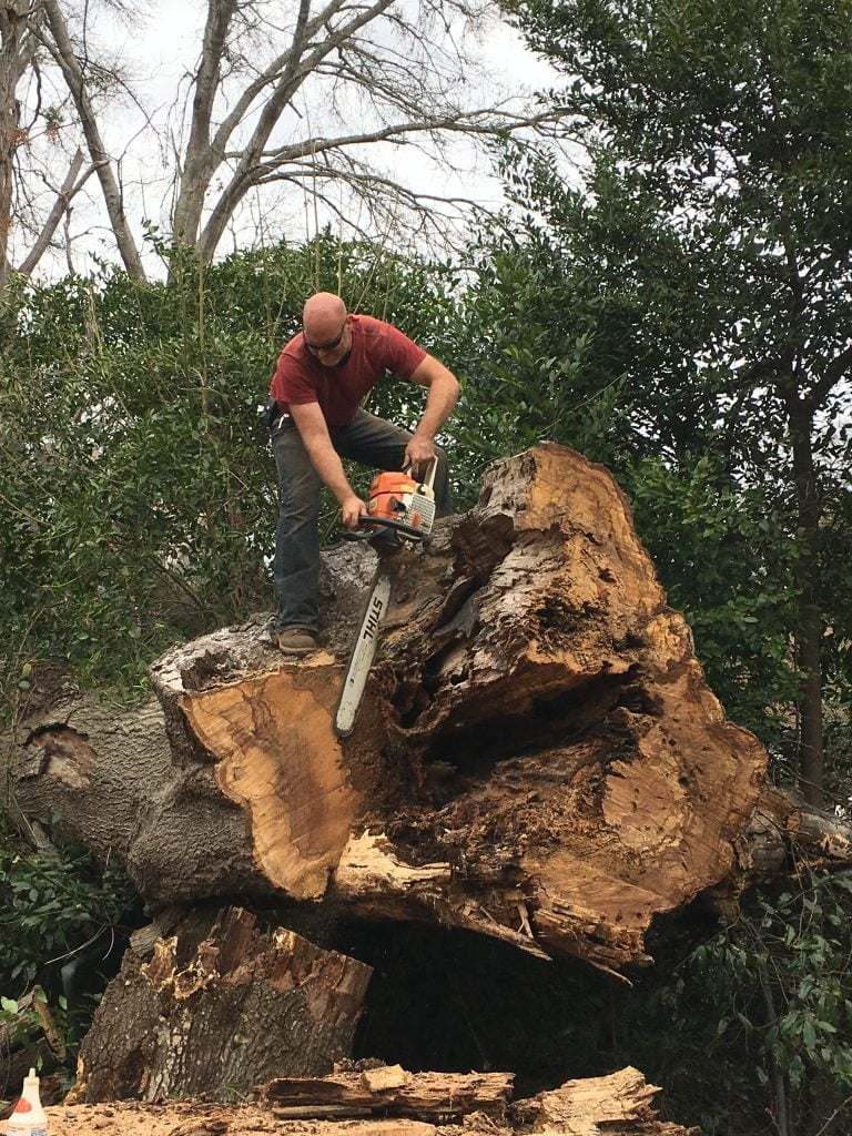 Jacksonville Landscaping and Tree Services