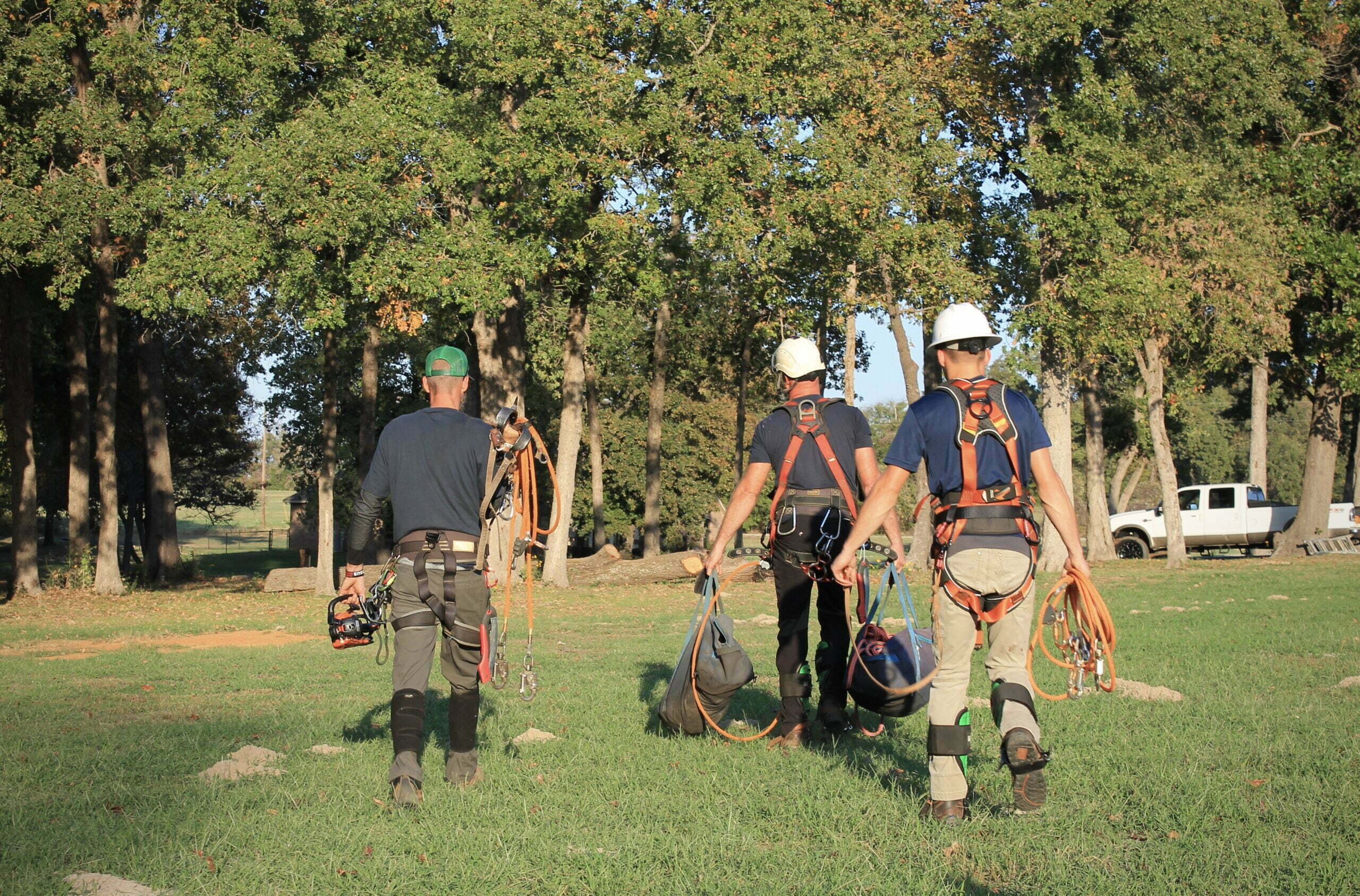 Landscaping and Tree Services in Henderson